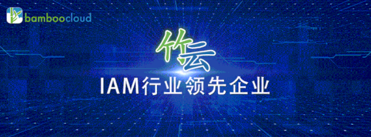 竹云科技入选2020年中国网络安全成长之星