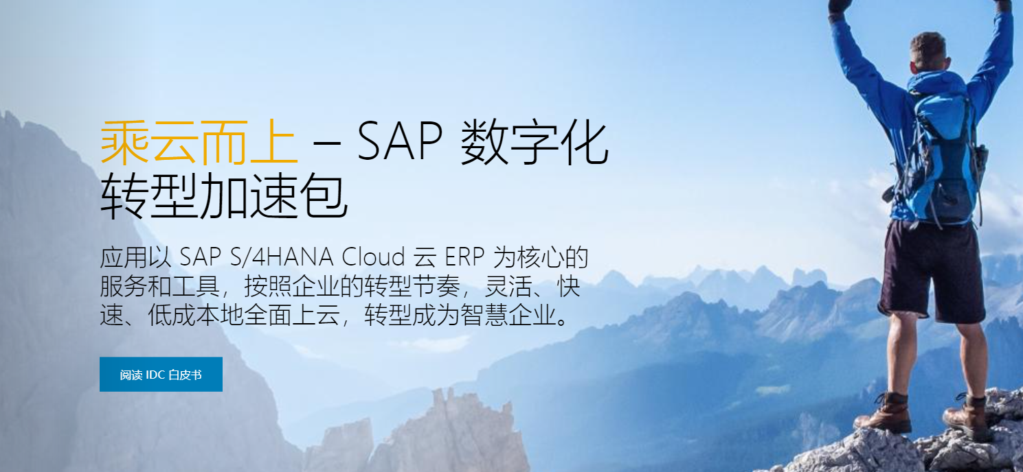 SAP GUI多因素认证及单点登录方案